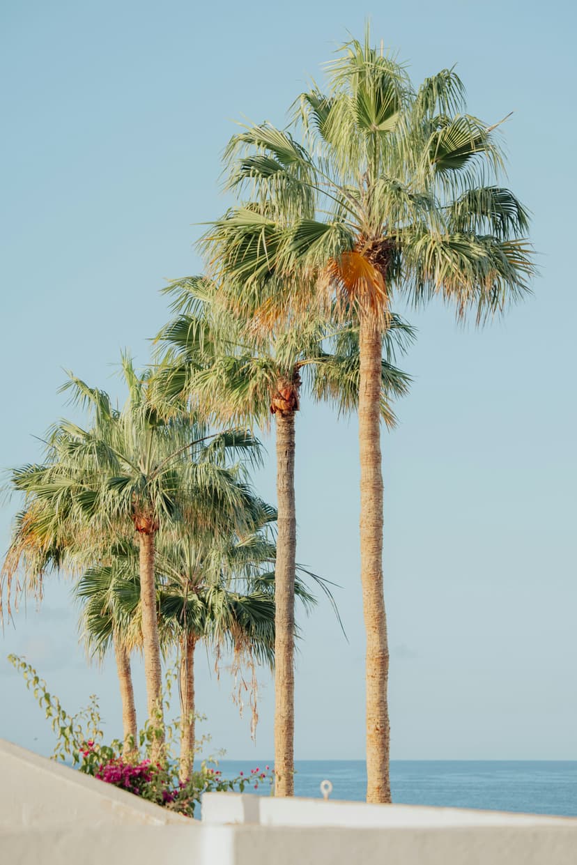 IRVINE, CA